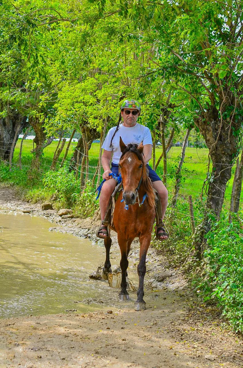Horseback riding - photo 3