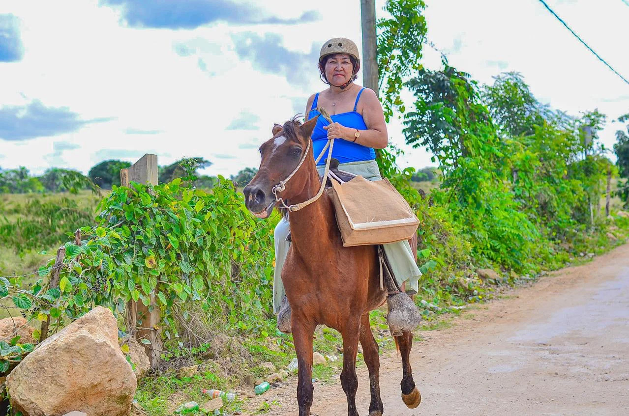 Horseback riding - photo 15
