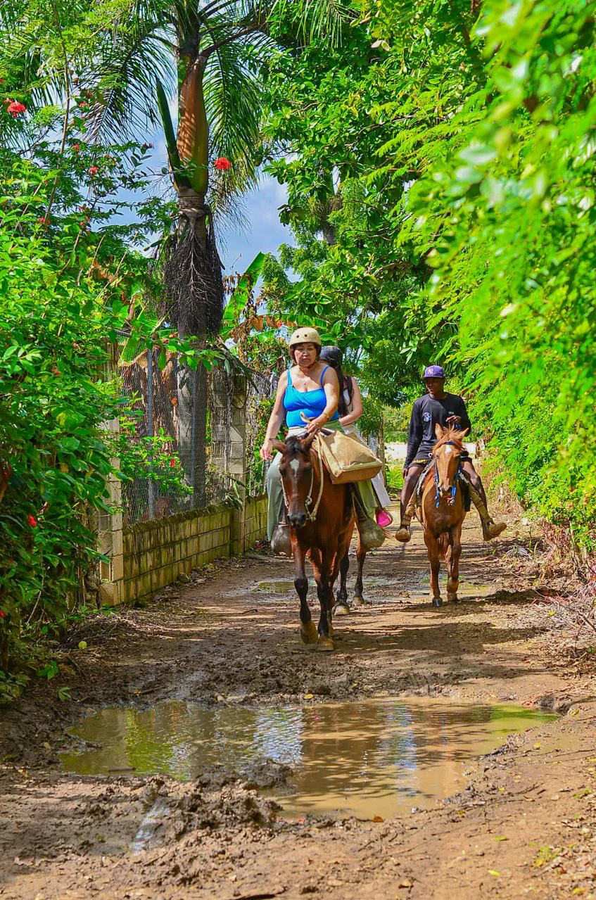 Horseback riding - photo 13