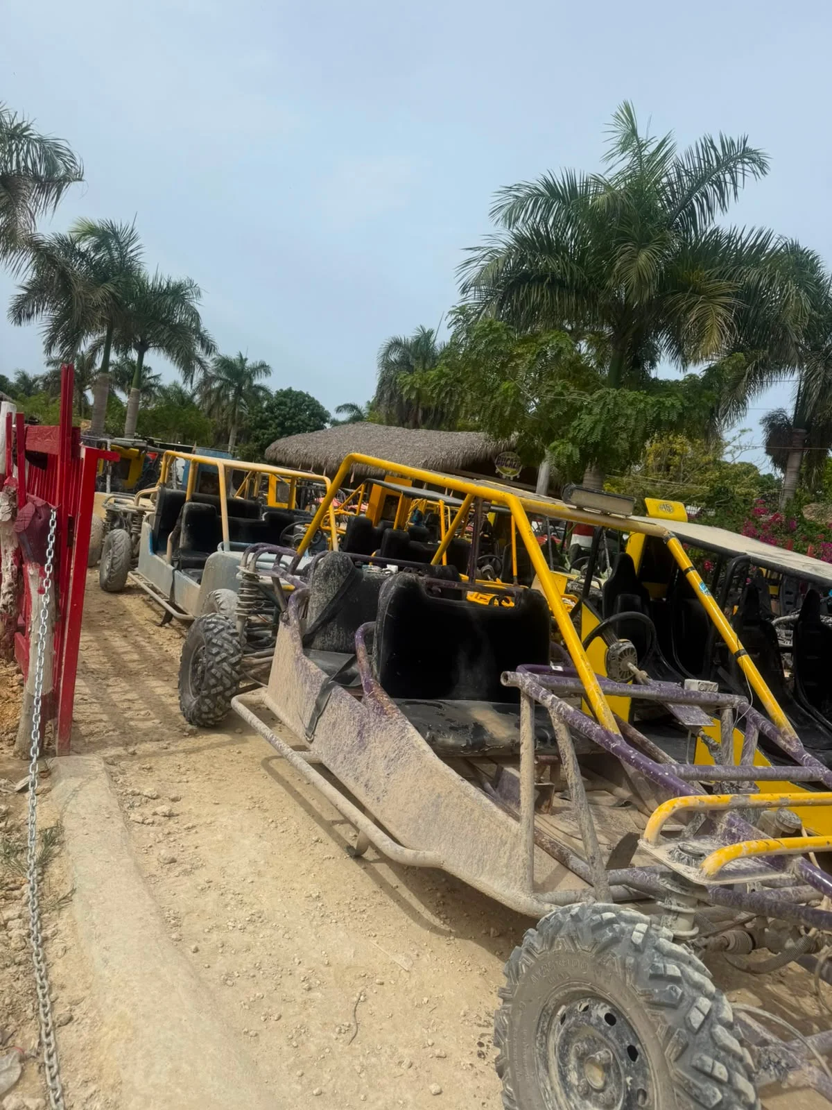 Life at BUCAZIP - photo 7