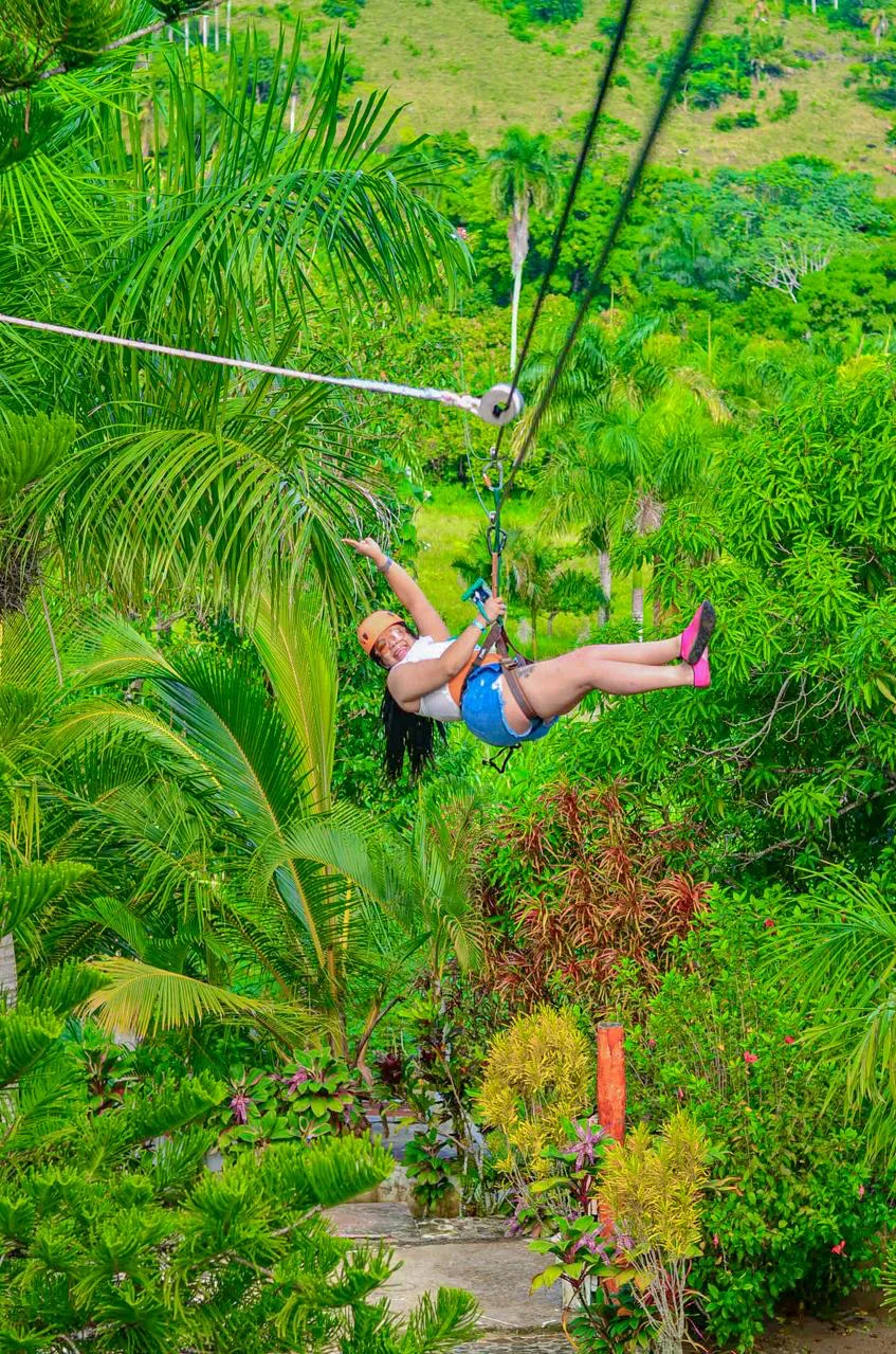 Zipline - photo 2