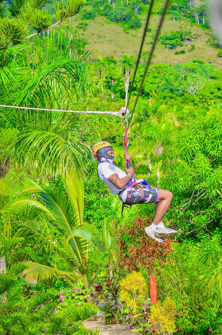 Zipline smiles