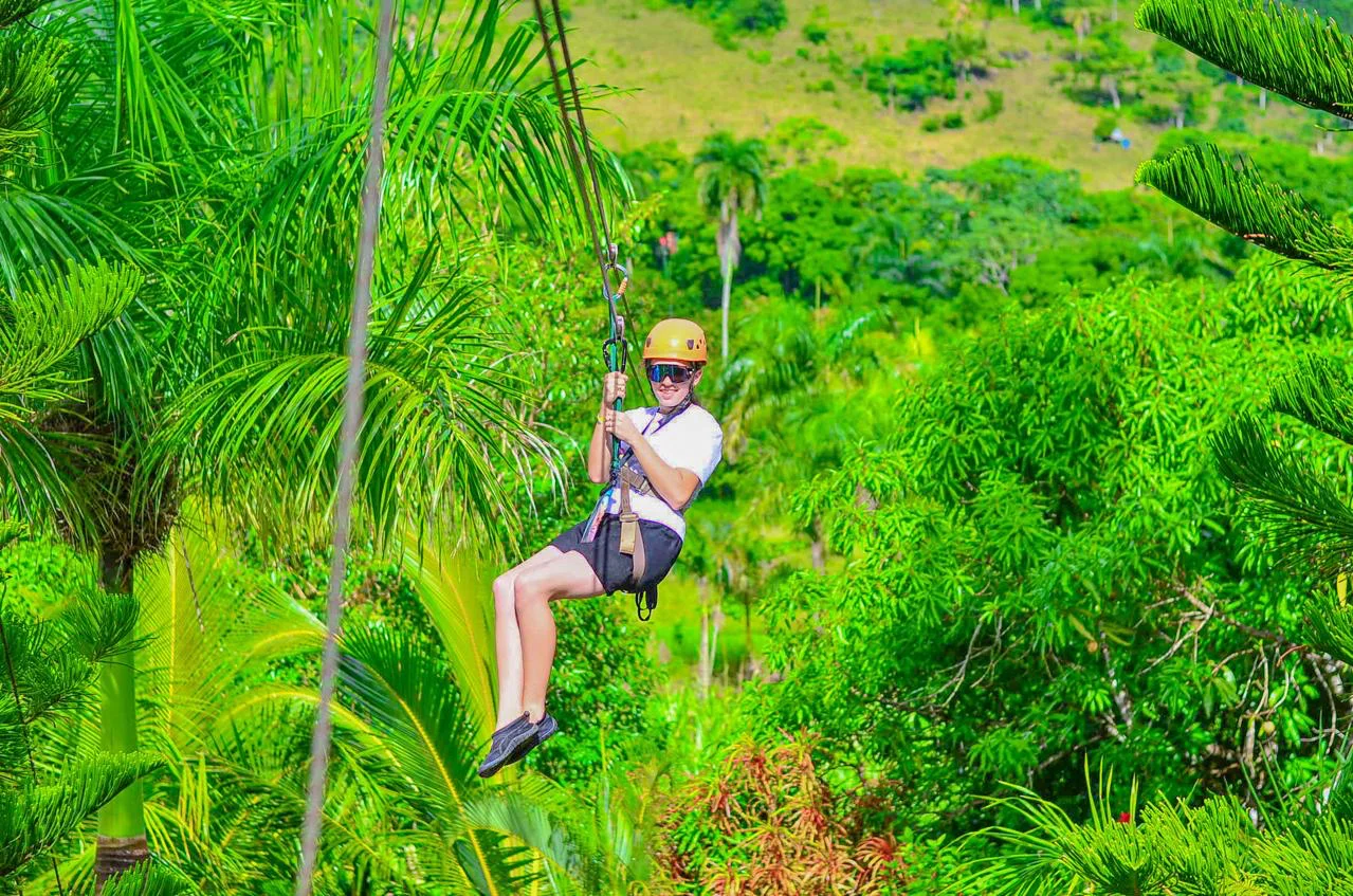 Zipline - photo 11